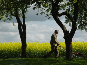 mowing